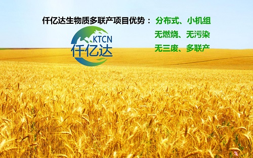 生物質多聯(lián)產3